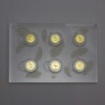 Gold coin 6 x 20 euro “Native Birds” 2016-2021 set – 6 pieces (Germany)