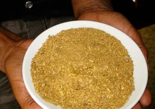 Pros and Cons of Investing in Gold Coins vs. Gold Bars