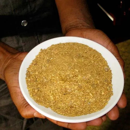 Pros and Cons of Investing in Gold Coins vs. Gold Bars